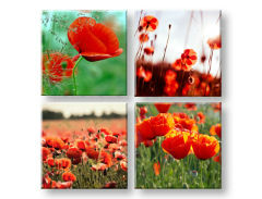 Слики на платно Meadow of poppy poppies 4- делен Колаж XOBKOL17E42