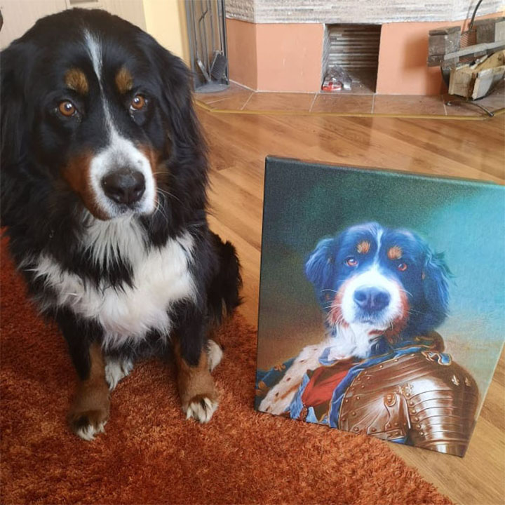 Φотографија на платно Pet Portrait General_2 - 50x60 cm