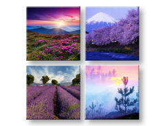 Слики на платно Everywhere purple 4- делен Колаж XOBKOL21E42