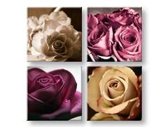 Слики на платно Kingdom of roses 4-делни XOBKOL30E42