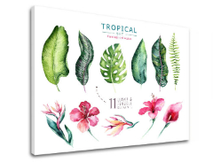 Слики на платно со текст Tropical set flamingo