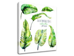 Слики на платно со текст Palm tropical leaves