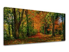 Ѕидна слика ПАНОРАМА ДРВЈА 60x120 см