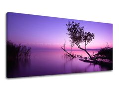 Ѕидна слика PANORAMA WEST SLNKA 50x100 см