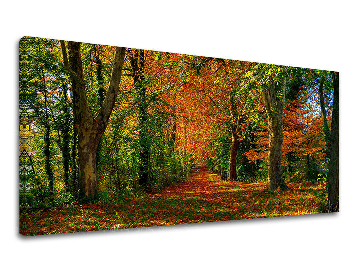 Ѕидно сликарство PANORAMA DREES 30x60 cm