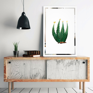 Слика на огледало Кактус Mirrora 69 - 60x40 cm