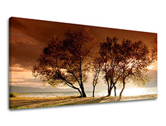 Слики на платно ДРВЈА Панорама ST026E13