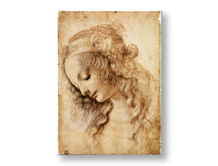 Слики на платно ГЛАВА НА ЖЕНА - Leonardo da Vinci
