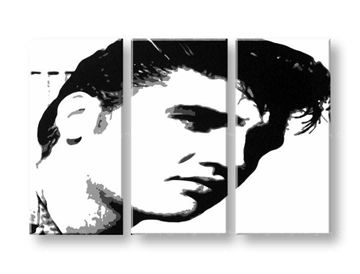 Рачно сликани слики на платно POP Art ELVIs 3-делна 