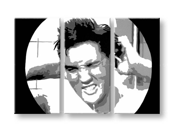 Рачно сликани слики на платно POP Art ELVIs 3-делна 